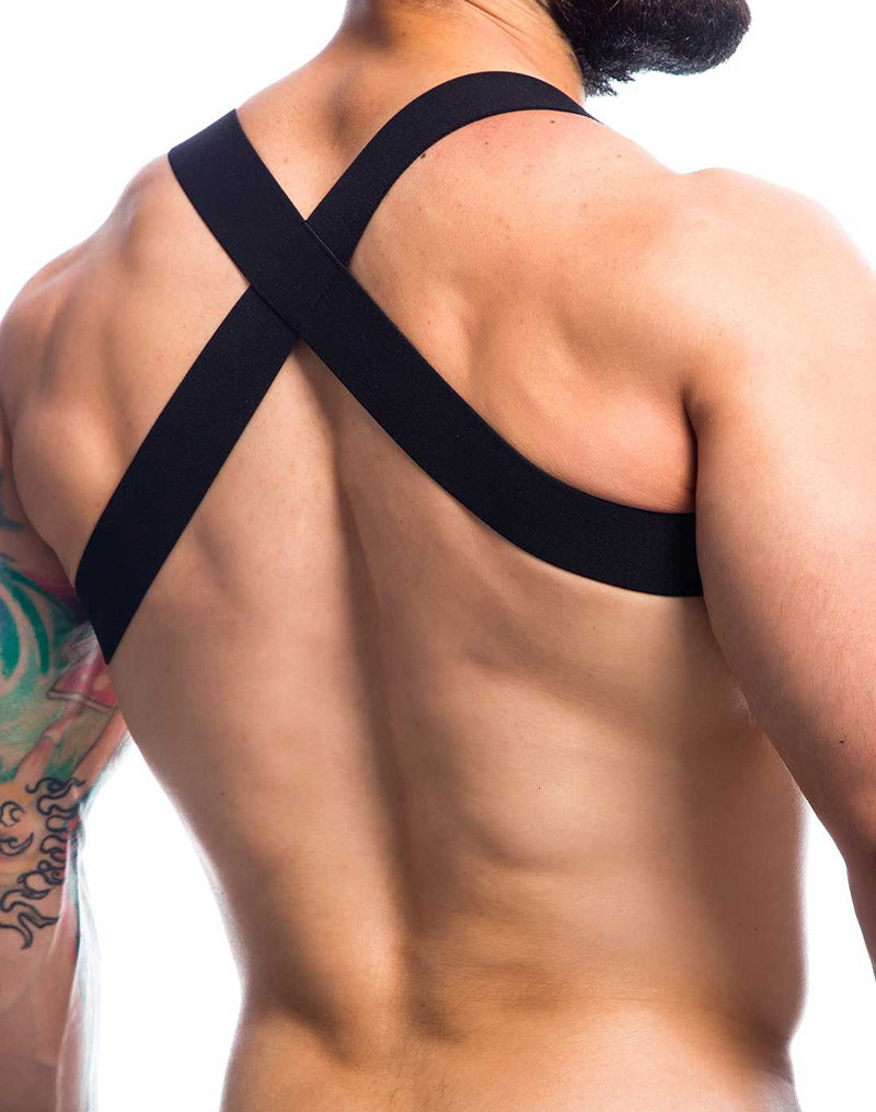 2: H4RNESS by C4M – Hero – Brustharness für Herren – Schwarz