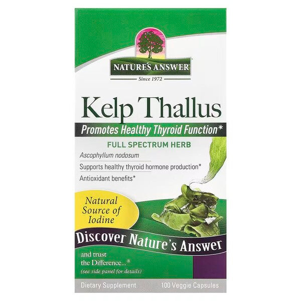 Nature S Answer Kelp Thallus