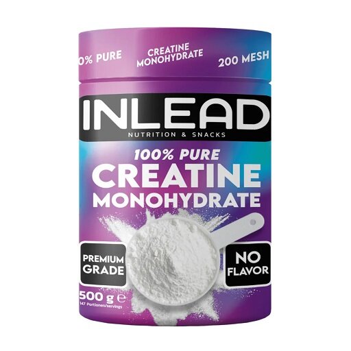 INLEAD Creatine Monohydrate 500g