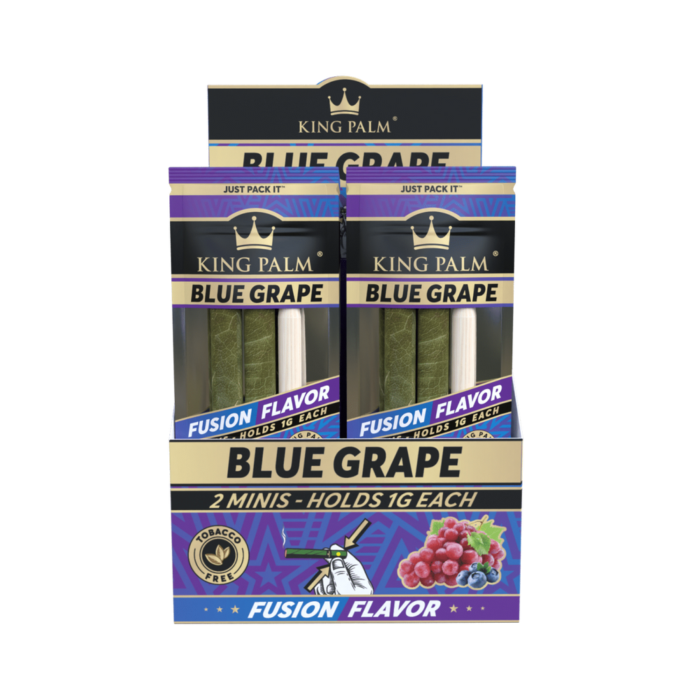 King Palm - Mini - 2 Stück - Blue Grape - Display - 20 Stück