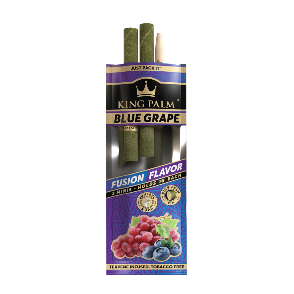 King Palm - Mini - 2 Stück - Blue Grape - Display - 20 Stück