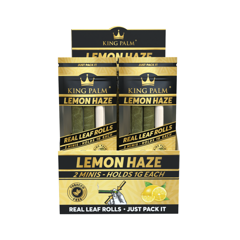 King Palm - Mini - 2 Stück - Lemon Haze - Display - 20 Stück