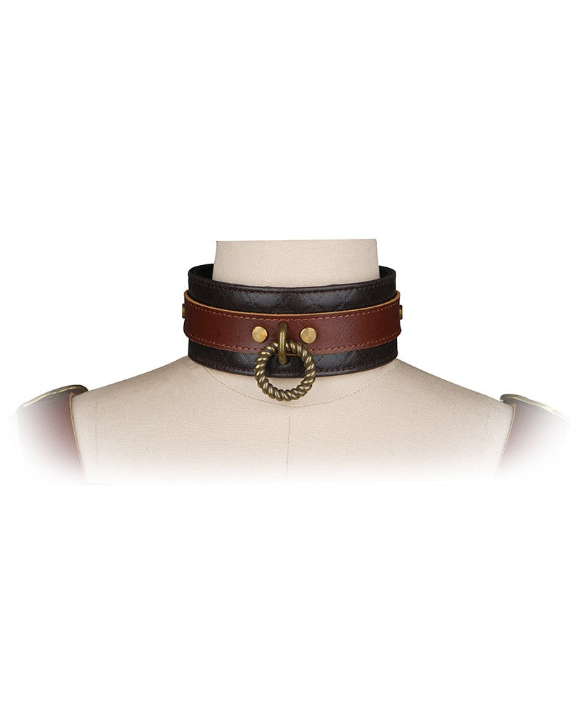 Liebe Seele - Lederhalsband mit Leine - Schwarz, Braun & Gold