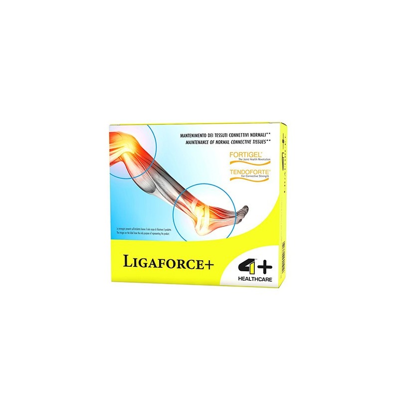 Ligaforce+ - 14x10,7 - Orange