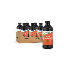 Liquid Chlorophyll - 473ml - Mint x12