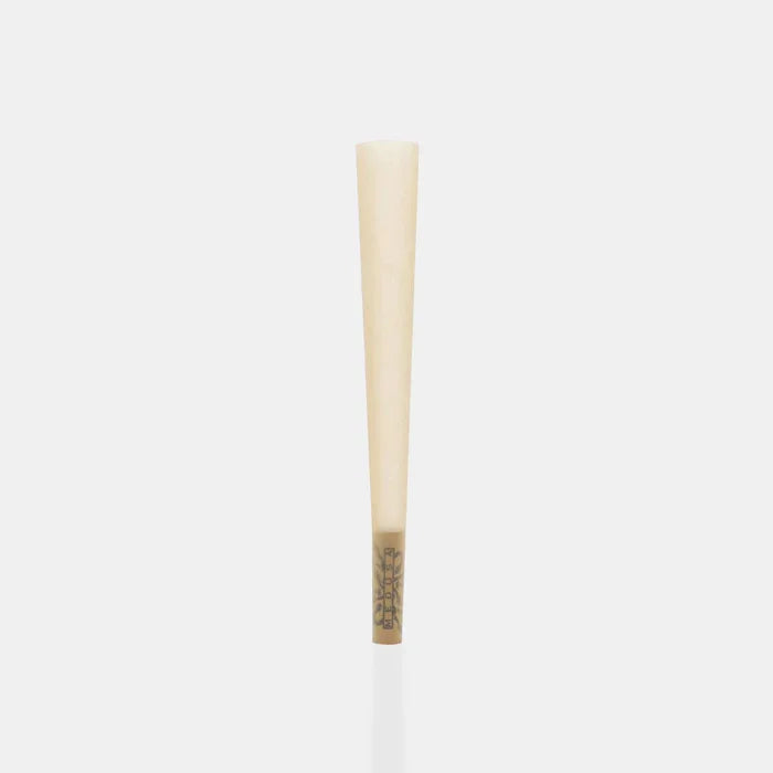 MedusaFilters - Cones - Organic - Box - 3 Stück