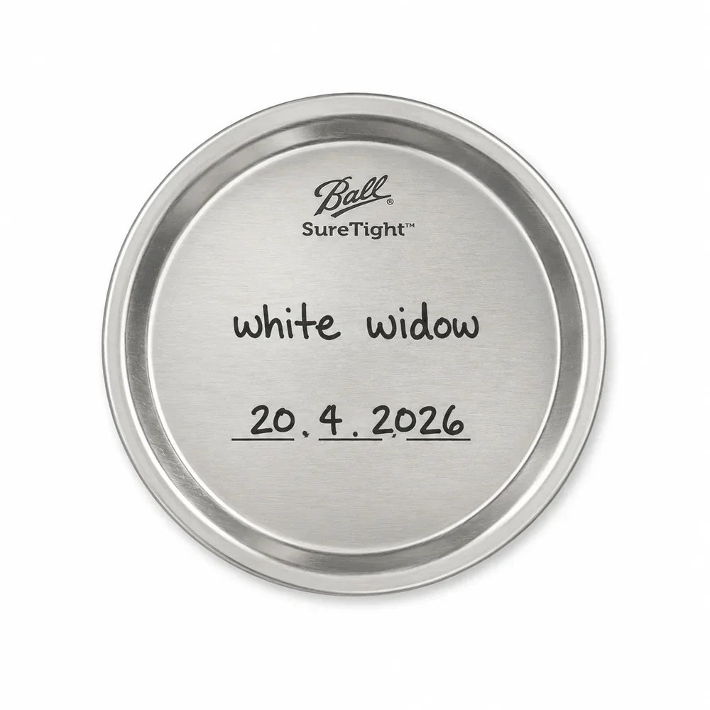 MedusaFilters x RE:STASH - Jar - 8 oz - violet - 1 Stück