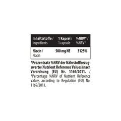 Niacin (flush-free) 120 Kapseln
