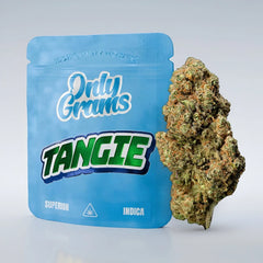 Only Grams Superior Blüte - Tangie