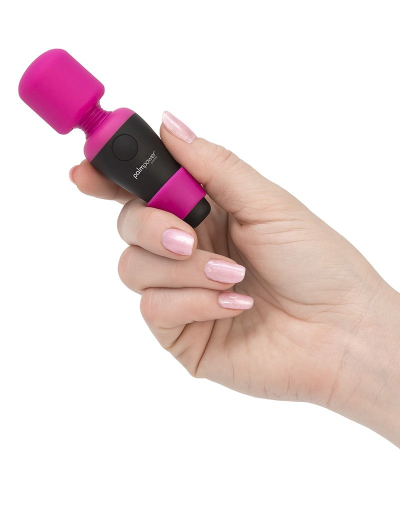 5: PalmPower Pocket