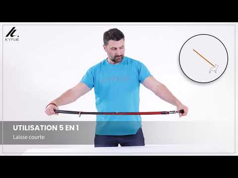 TRAININGSLEINEN KYFLIE MOMENTUM M GRAU
