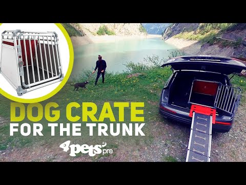 4PETS ECO 3 MEDIUM TRANSPORTKOFFER