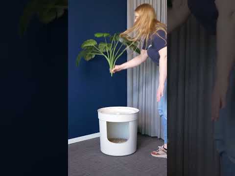 VERSTECKTER PFLANZER