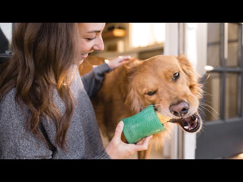 FUNNL MARINE WEST PAW