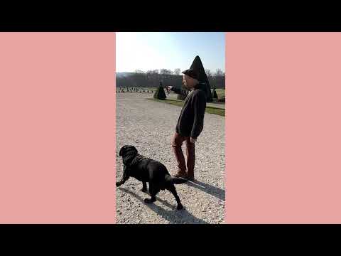 MARLY & DAN SENIOR – HUND