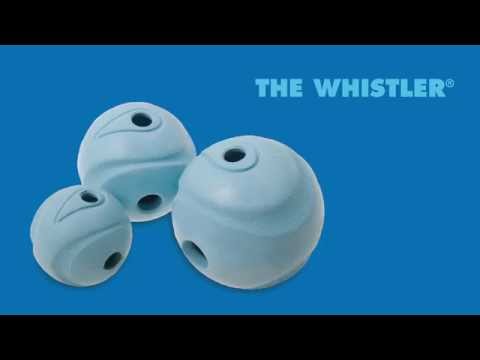 WHISTLER BALL MEDIUM 2 PACK