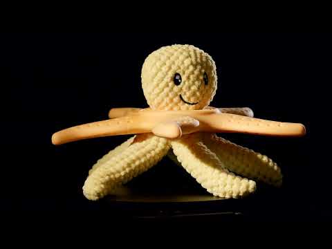 KIWI-KRAKEN &amp; GRÜNER SEESTERN
