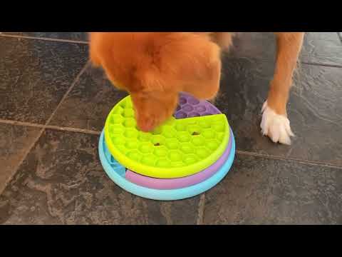 NINA OTTOSSON PUPPY LICKIN' LAYERS