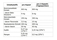 ProFuel Brennnessel Komplex 120 Kapseln