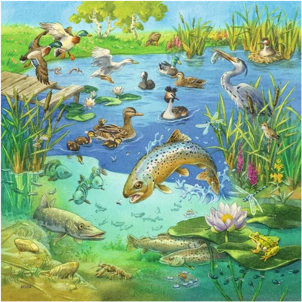 Puzzle Tiere in ihren Lebensräumen, 3 x 49 Teile