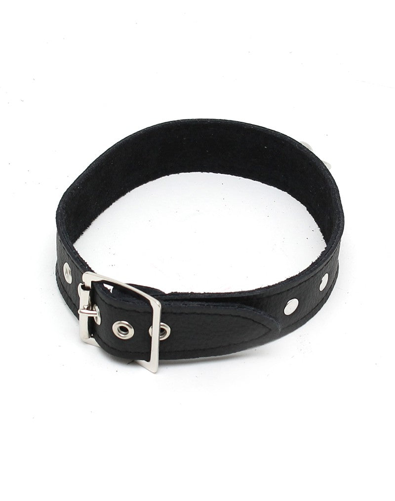 4: Rimba - Halsband mit dekorativen Nieten