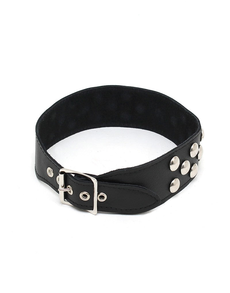 4: Rimba - Halsband verziert mit Nieten