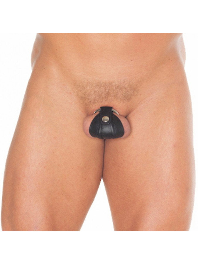 5: Rimba - Penis Zwangskorb