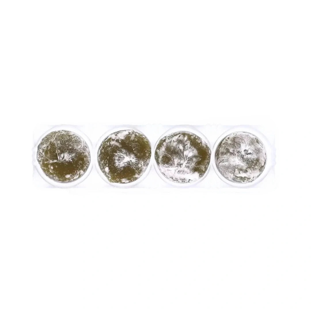 Royal Family - Mochi Mini- Maple Pancake 40g