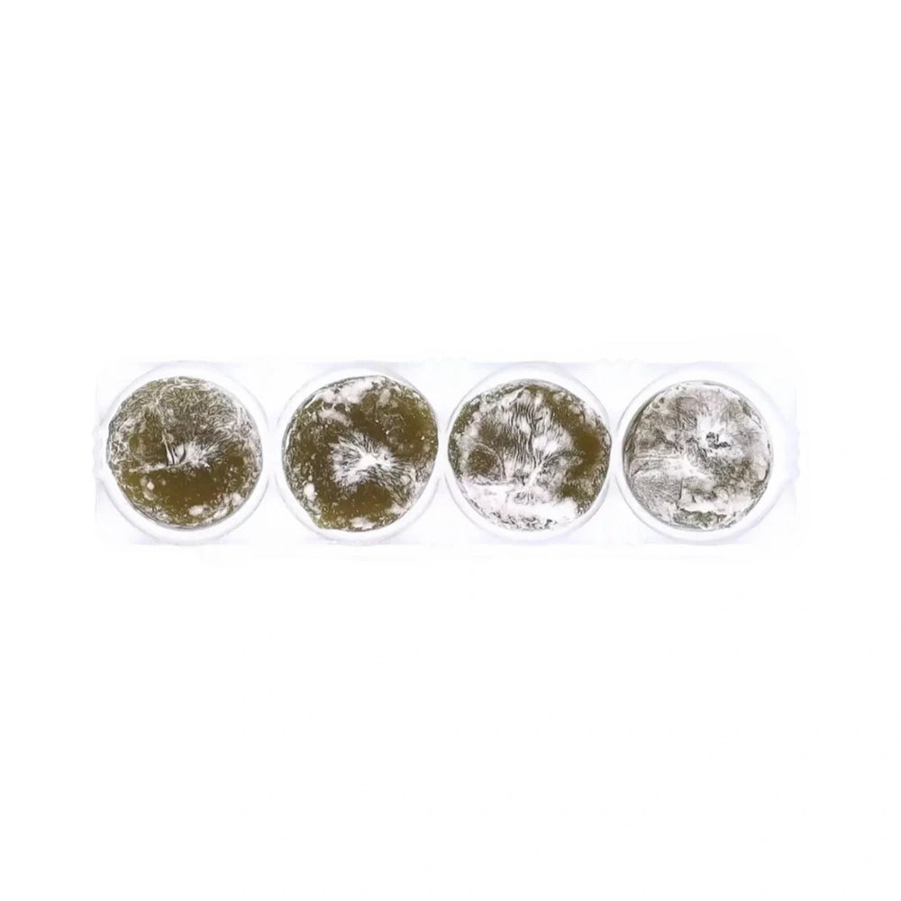 Royal Family - Mochi Mini- Maple Pancake 40g