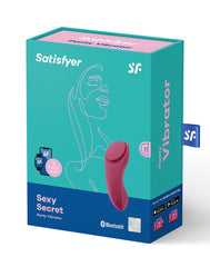 2: Satisfyer Sexy Secret Panty Vibrator / Incl. Bluetooth And App