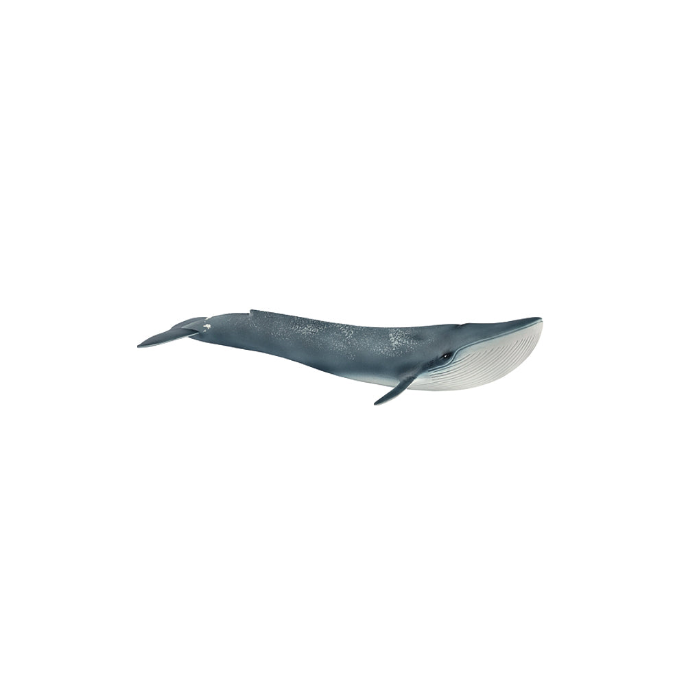 Schleich Blauwal