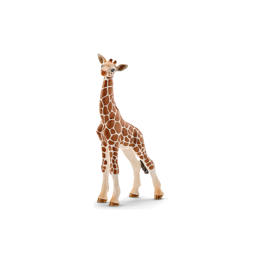 Schleich Giraffenbaby