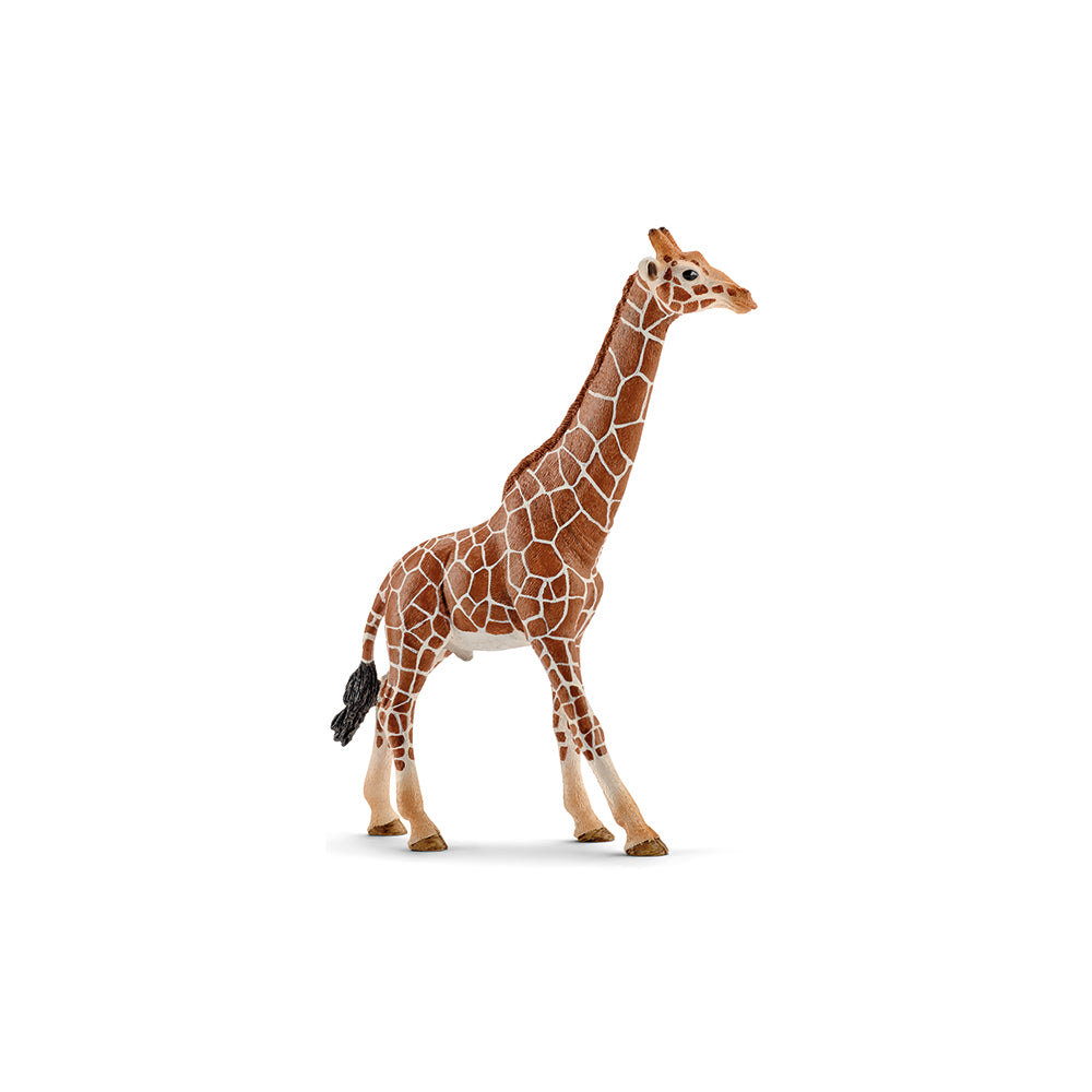 Schleich Giraffenbulle