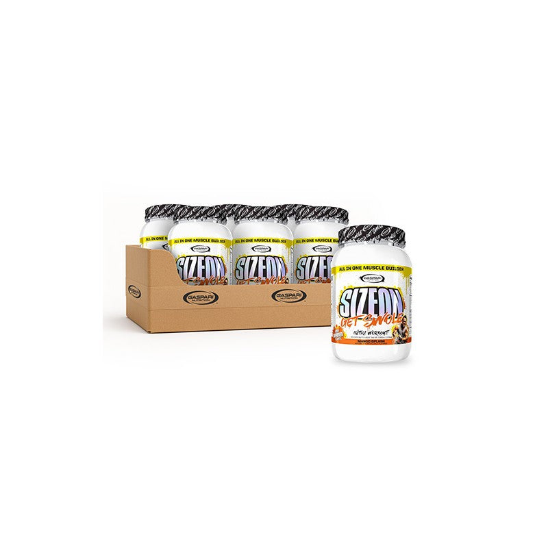 SizeOn Max Performance - 1656g - Mango Splash x6