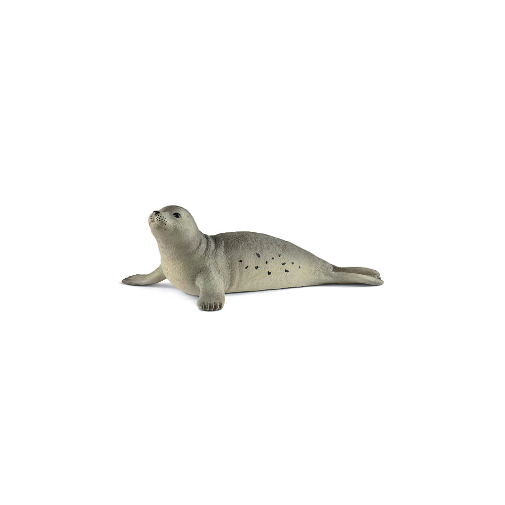 Schleich Seehund
