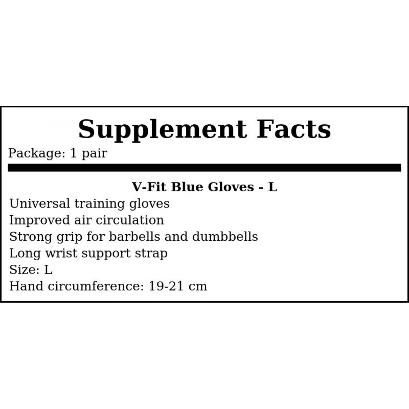 V-Fit Blue Gloves - L