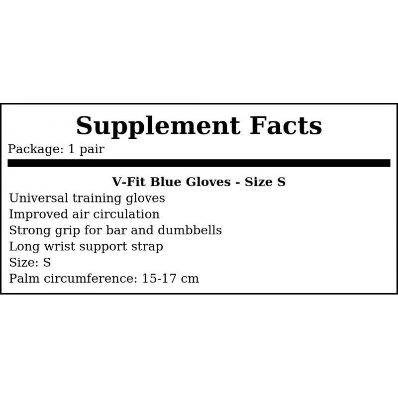 V-Fit Blue Gloves - S