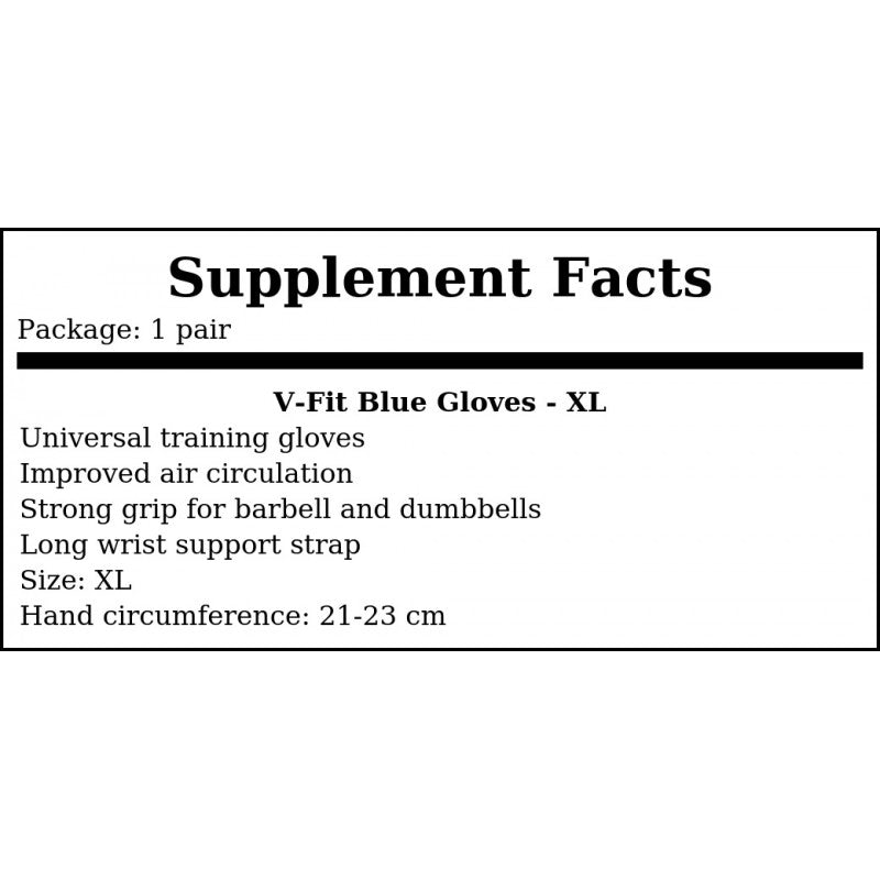 V-Fit Blue Gloves - XL