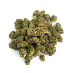 Wild Wild Weed - Mango Haze - Outdoor CBD - 50g