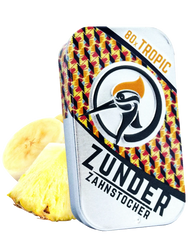 Zunder Zahnstocher - Tropic - Box - 80 Stück