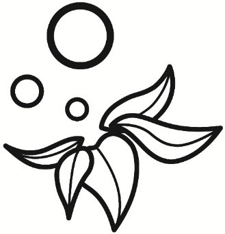 ELFBAR